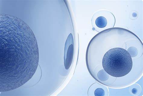 針對銀屑病工程化外泌體